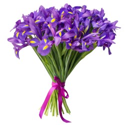 51_iris_buket_klumba (3)